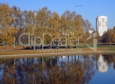 park in gold fall