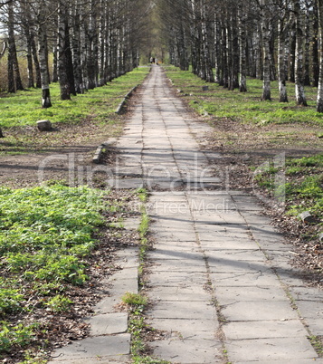 spring in city park