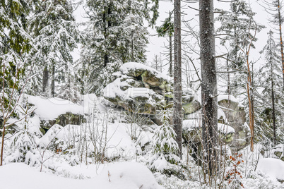 Romantischer Winterwald verschneite Bäume