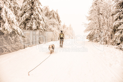Mann mit Hund im Winter Schnee