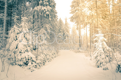 Romantischer Winterwald verschneite Bäume