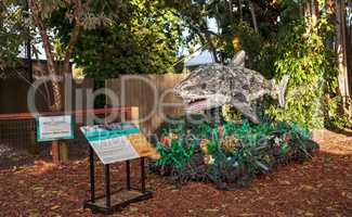 Chompers the Shark Sculpture made of garbage found in the ocean