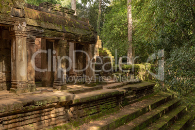Colonnade and steps of ruined jungle temple