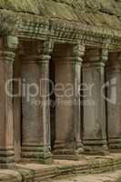 Colonnade of stone pillars under mossy roof