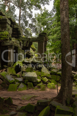 Fallen rocks by stone doorway in trees