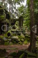 Fallen rocks by stone doorway in trees