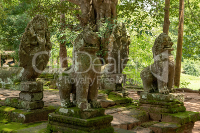 Four lion and snake statues in trees