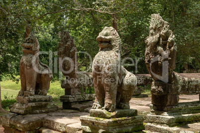 Four lion and snake statues in forest