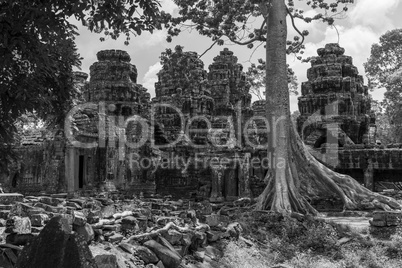 Mono fallen rocks and trees behind temple