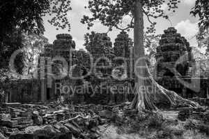 Mono rear of ruined temple in forest