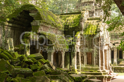 Moss-covered temple and fallen rocks in trees