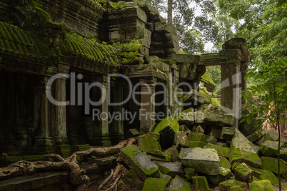 Mossy stone columns of Ta Prohm temple