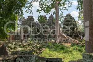 Rear of ruined stone temple in trees