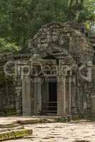 Ruined temple entrance with columns in jungle