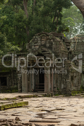 Ruined temple entrance with columns in trees