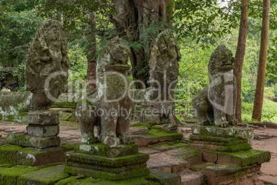 Stone lions and snakes guarding Banteay Kdei