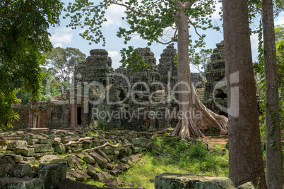 Stone temple rear entrance framed by trees