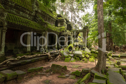 Temple colonnade and fallen rocks in forest