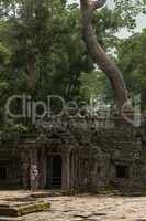 Tourist admires tree growing above temple entrance