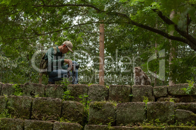 Tourist photographs long-tailed macaque on stone wall
