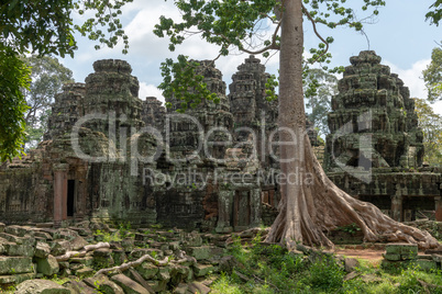 Tree growing among ruins of stone temple