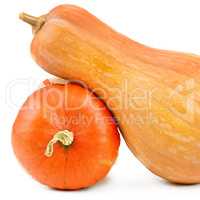 Ripe pumpkins isolated on white background.