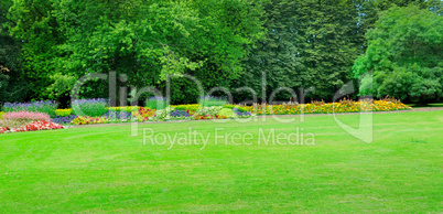 Summer park with beautiful flowers and meadow. Wide photo.