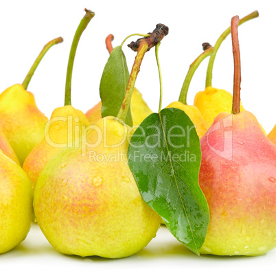 Pears isolated on white background .