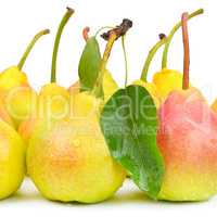 Pears isolated on white background .
