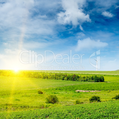 Beautiful green field, sun rise and blue sky.