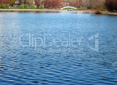 autumn in city park