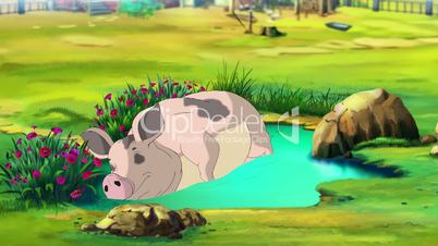 Big Pink Pig Sleeping in a Puddle