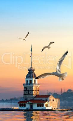 Maiden Tower and seagulls