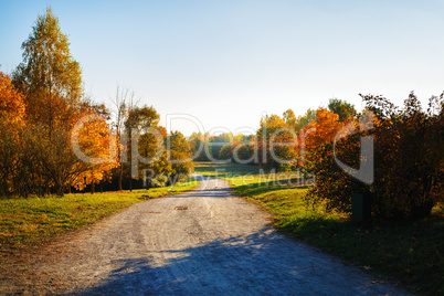 Rural autumn landscape