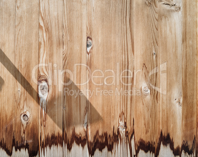 Light wood texture