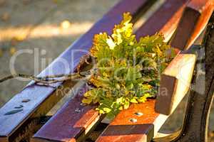 park bench in autumnal sun with oak branch