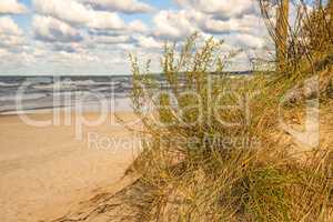 beach of the Baltic sea with beach grass and park bench in back light