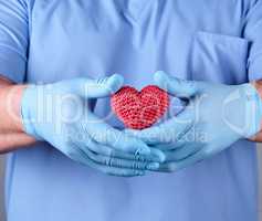 doctor with blue latex gloves holding a red heart