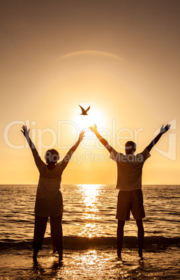 Senior Couple Holding Celebrating Sunset Tropical Beach