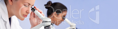 Female Scientific Research Team Using Microscopes in a Laborator