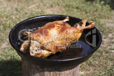 Roasted duck chicken with crispy skin photo