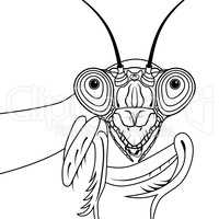 Portrait of green praying mantis vector illustration tattoo t-shirt design symbol for mascot or emblem design, logo sketch design.