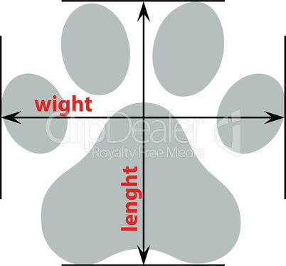 Dog or cat paw print flat icon for animal apps and websites. Paw tattoo Print. Vector