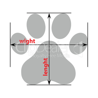Dog or cat paw print flat icon for animal apps and websites. Paw Print. Vector