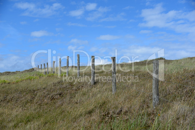 Düne in Holland