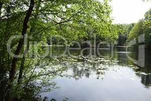 Kesselbruchweiher bei Frankfurt