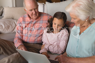 Multi-generation family using laptop