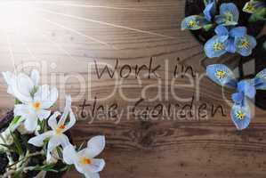 Sunny Crocus And Hyacinth, Text Work In The Garden