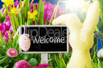 Sunny Spring Flowers, Easter Decoration, Text Welcome