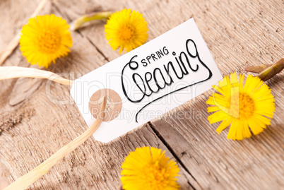 White Label, Dandelion, Calligraphy Spring Cleaning, Wooden Background